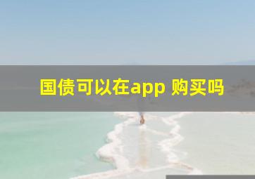 国债可以在app 购买吗